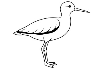 sandpiper silhouette line art vector illustration with a white background