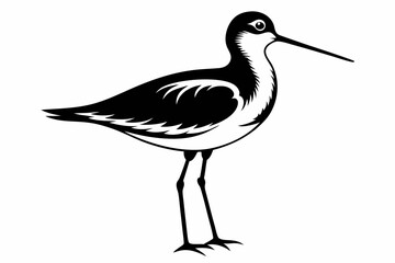 sandpiper silhouette line art vector illustration with a white background