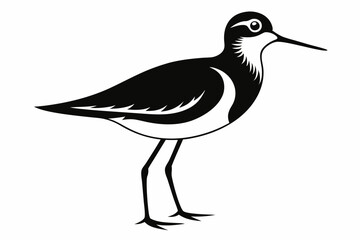 sandpiper silhouette line art vector illustration with a white background