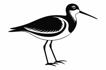 sandpiper silhouette line art vector illustration with a white background