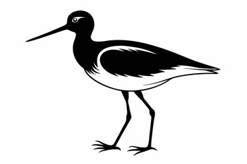 Obraz premium sandpiper silhouette line art vector illustration with a white background