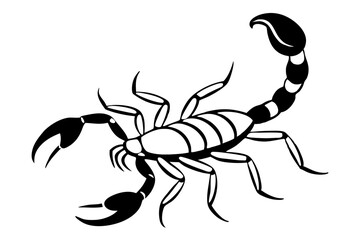 scorpion silhouette line art vector illustration with a white background
