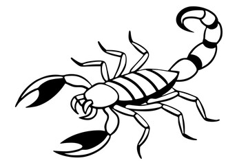 scorpion silhouette line art vector illustration with a white background