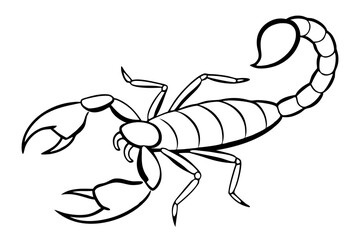 scorpion silhouette line art vector illustration with a white background