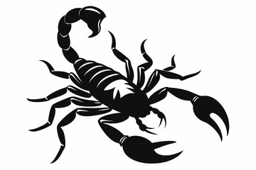 scorpion silhouette line art vector illustration with a white background