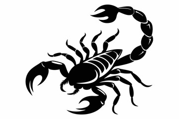 scorpion silhouette line art vector illustration with a white background