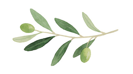 green olives isolated on transparent background