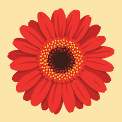 A single red Gerbera flower depicted on a light yellow background.