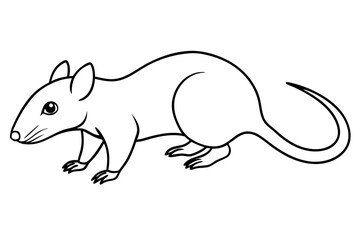 shrew silhouette line art vector illustration with a white background
