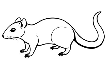 shrew silhouette line art vector illustration with a white background