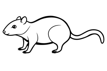shrew silhouette line art vector illustration with a white background
