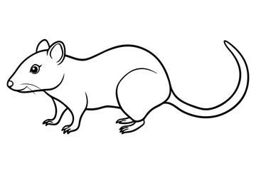 shrew silhouette line art vector illustration with a white background