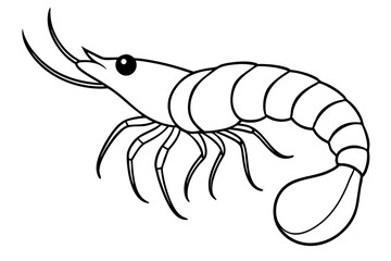 shrimp silhouette line art vector illustration with a white background