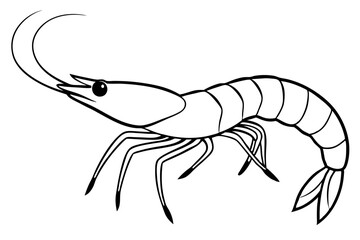 shrimp silhouette line art vector illustration with a white background