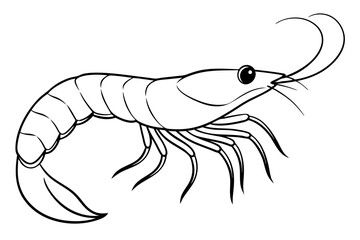 shrimp silhouette line art vector illustration with a white background