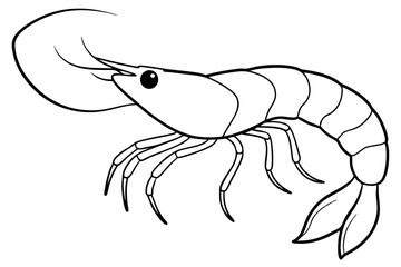 shrimp silhouette line art vector illustration with a white background