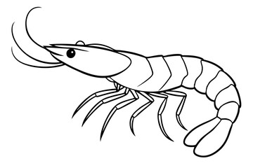 shrimp silhouette line art vector illustration with a white background