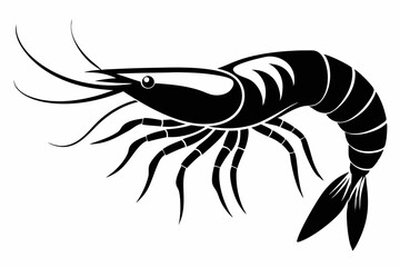 shrimp silhouette line art vector illustration with a white background