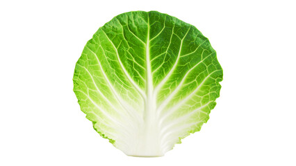 Fresh green head of cabbage isolated on a white background