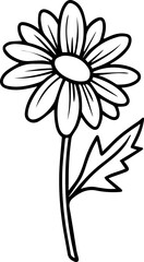 black and white daisy flower with png transparent background vector 