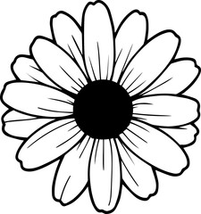 black and white daisy flower with png transparent background vector 