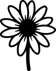 black and white daisy flower with png transparent background vector 