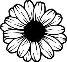 beautiful daisy flower black and white outline 