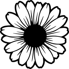 beautiful daisy flower black and white outline 