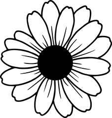 beautiful daisy flower black and white outline 