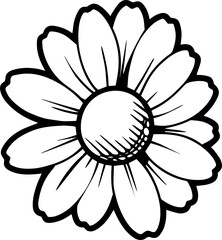 vector black transparent daisy flower 