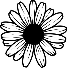 black and white daisy flower vector transparent 