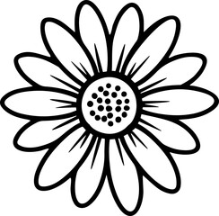 daisy flowers 
