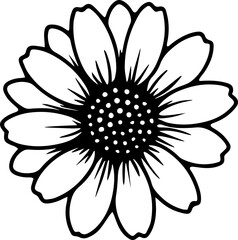 black and white daisy 