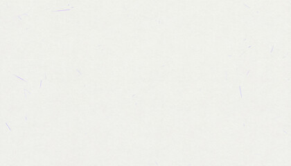 繊維感が残る和紙パターン