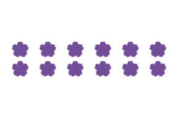 紫のさくらの花のぼかし2列装飾線　