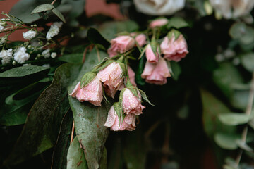 Flores cristalizadas