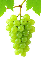 Green Grapes Cluster, Isolated Transparent Background, Minimalist Design Element
