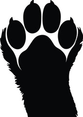 cat paw