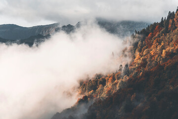 clouds over the mountains and a foliage forest in october
