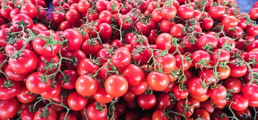 Fresh tomatoes close up view