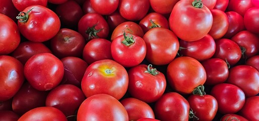 Fresh tomatoes close up view