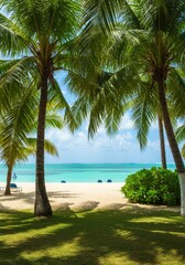 Tropical Beach Scene with Lush Palm Trees and Turquoise Ocean