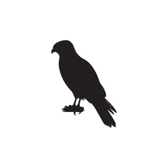**"Swift Cooper’s Hawk Vector Silhouette: Fierce Raptor Design Featuring Sharp Talons, Streamlined Body, and Intense Gaze in Clean, Minimalist Style for Crafts and Digital Art"**
