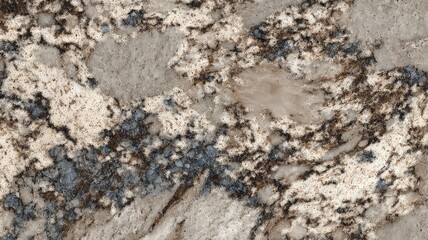 Close-up of a textured granite stone surface with a mix of beige, gray, and brown tones.