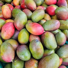 Fresh mangoes for a healthy diet