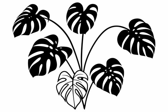 indor plant tree
