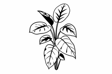 vector illustration of a plant