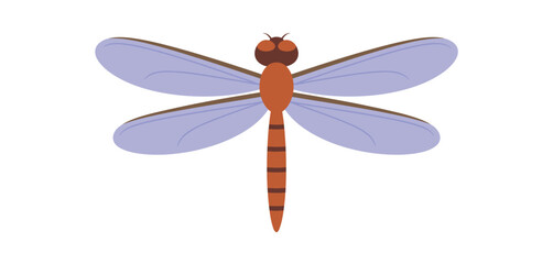 Simple Cartoon Dragonfly Illustration for Design