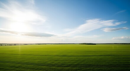 Obraz premium Beautiful aerial view of lush green agricultural fields under a bright blue sky with fluffy clouds.