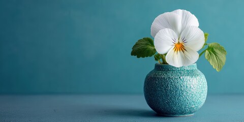 White Pansy Flower in Textured Vase with Blue Background